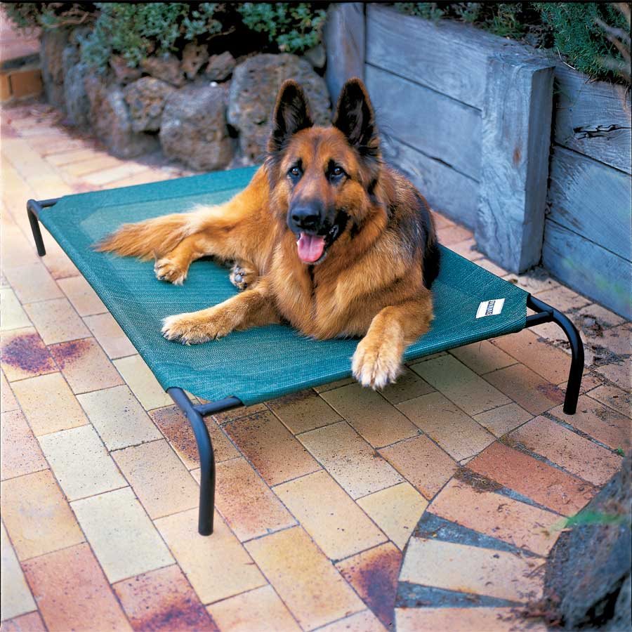 pet bed L