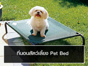 ที่นอนสัตว์เลี้ยง Pet Bed